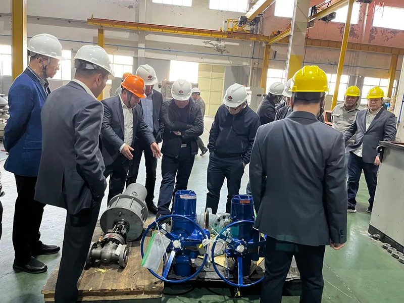 浙江中德自控科技股份有限公司