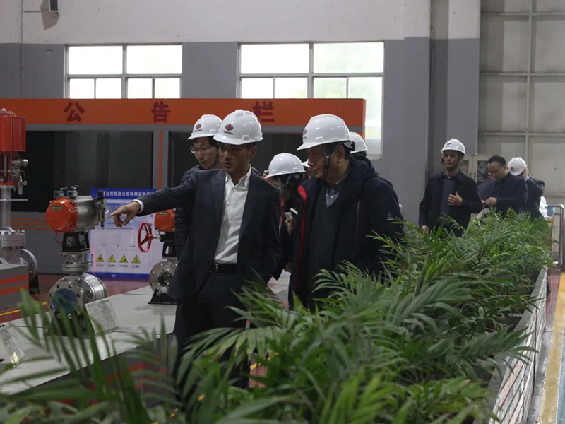 浙江中德自控科技股份有限公司